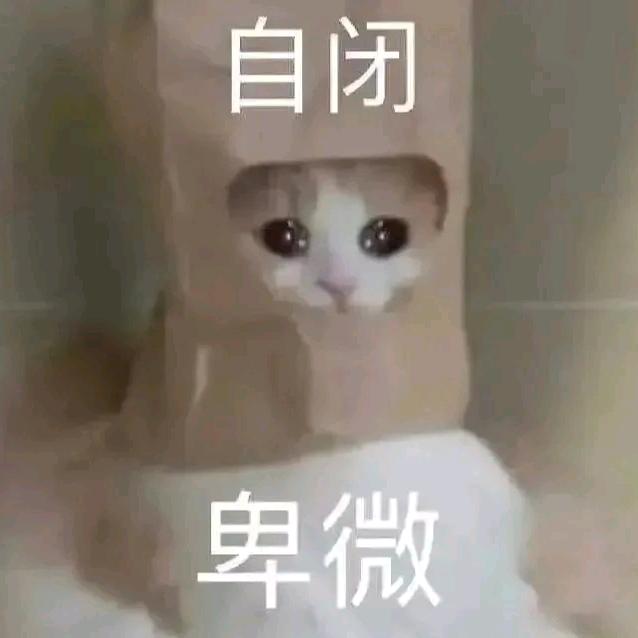 阿川（脆弱版）