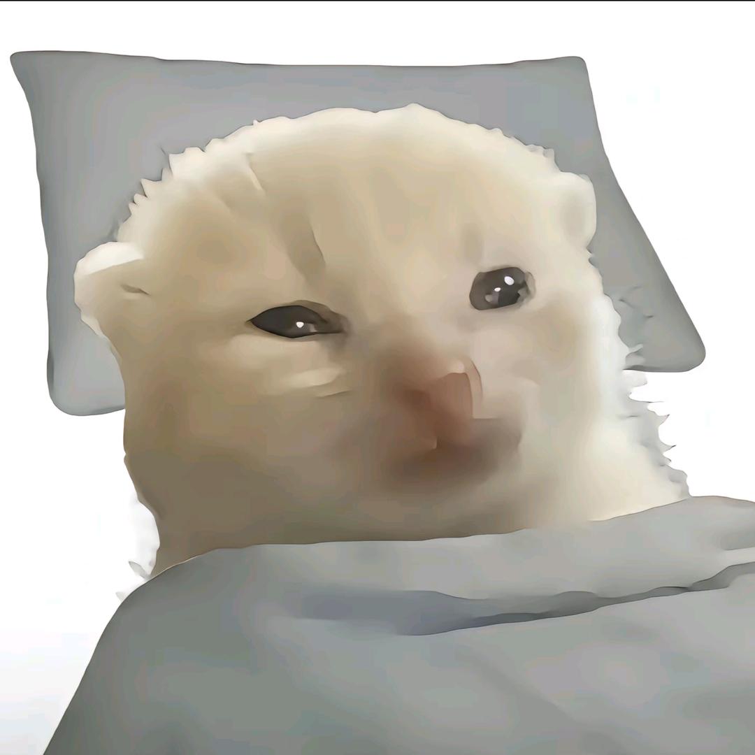 巴巴博一