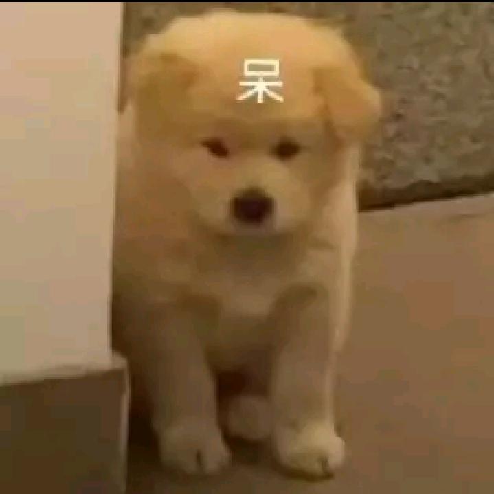 王某。