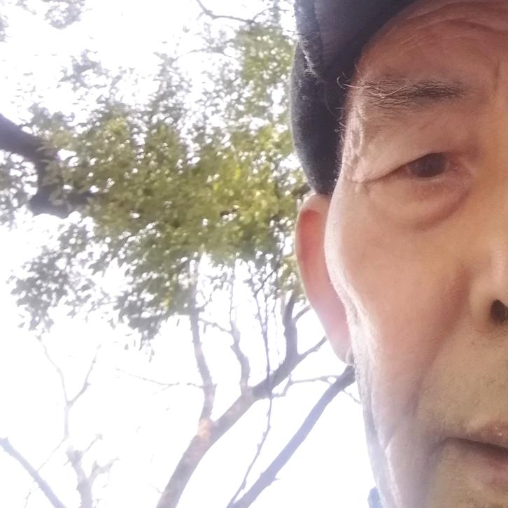吴高安