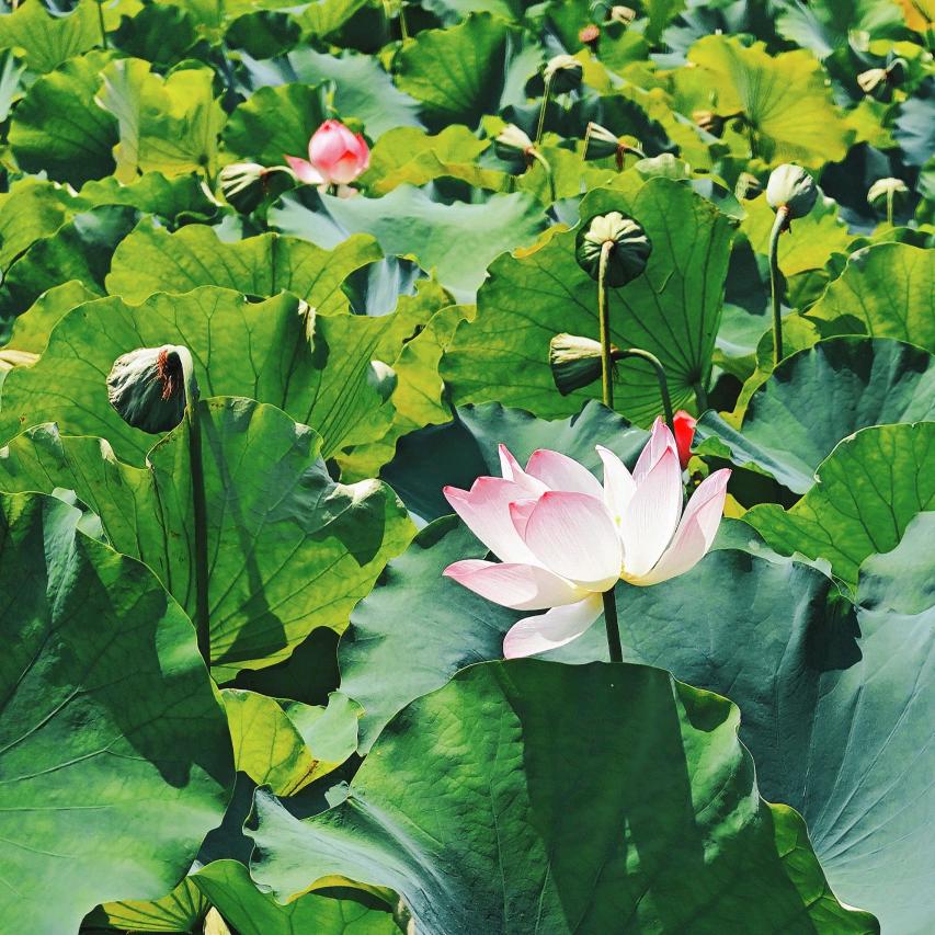云遥☁