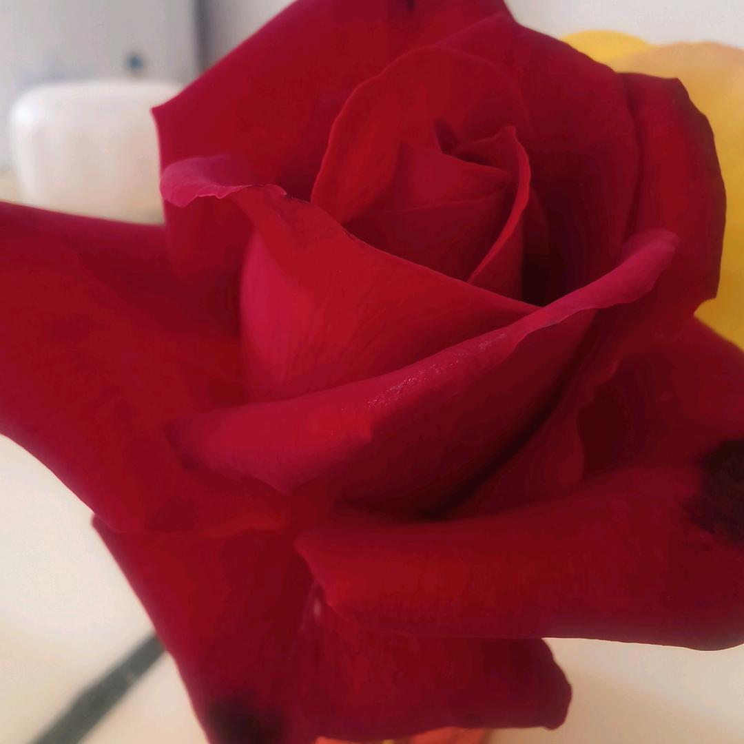 封心❤️锁爱