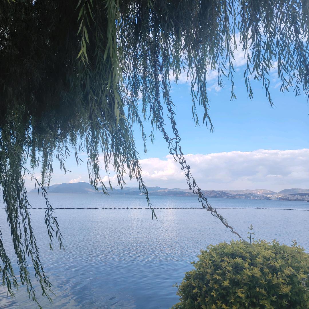 ✨松影✨流年✨