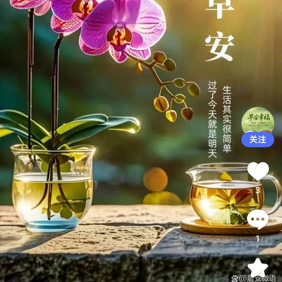 过好自己