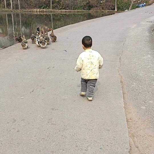 四川兰姐