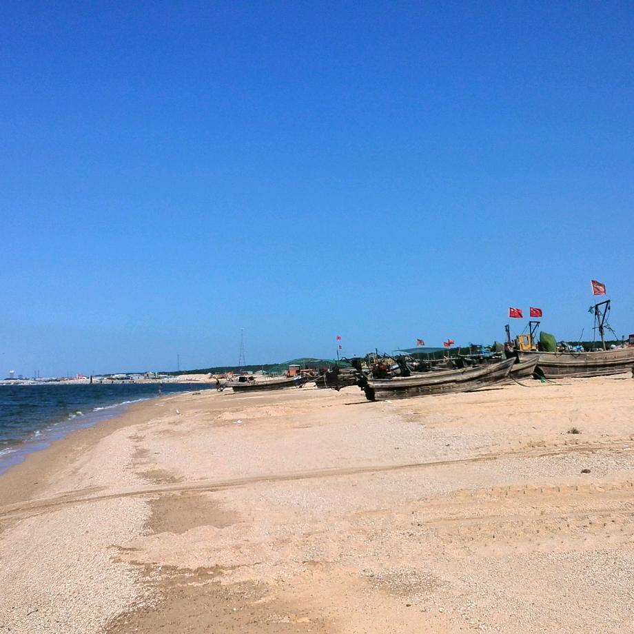 高粱地的信天翁