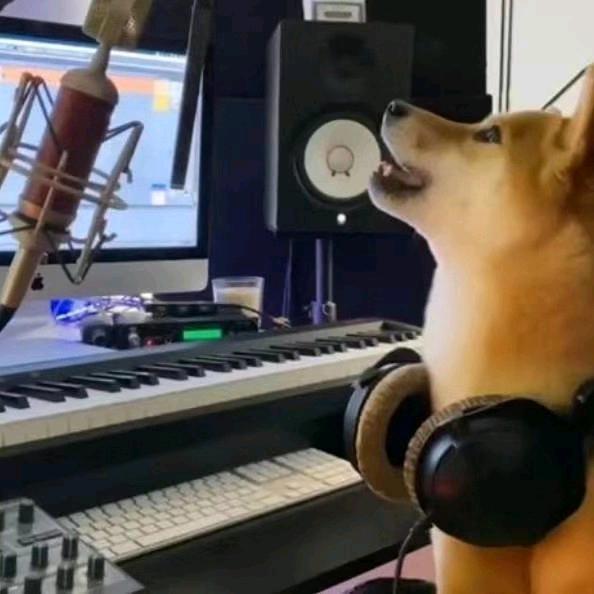 7boi