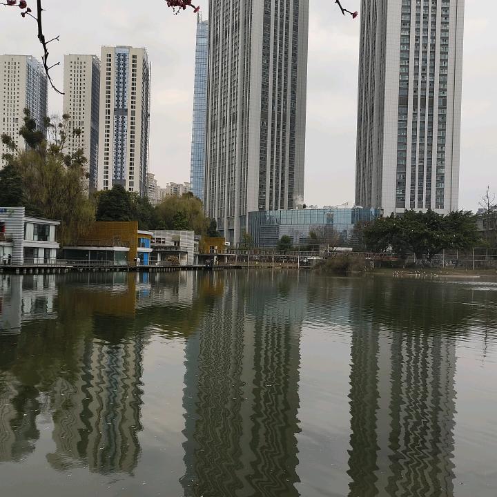 蕙心