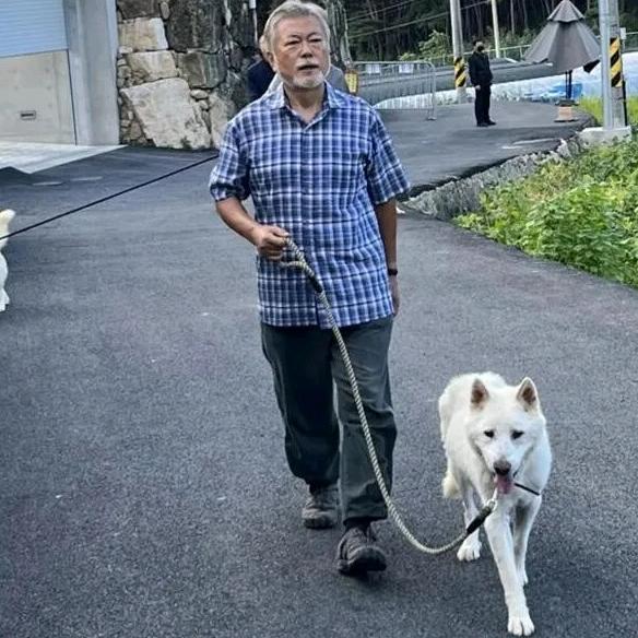 带着狗狗去旅行