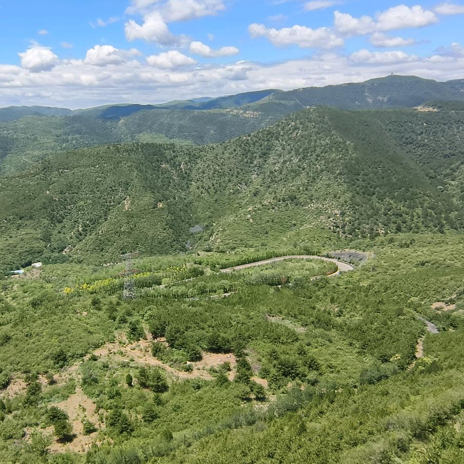 爱玩小游戏的猕猴桃🥝