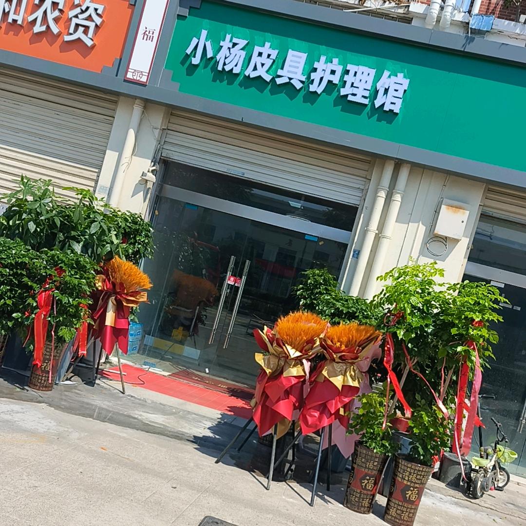 宿豫区小杨皮具护理馆（个体工商户）