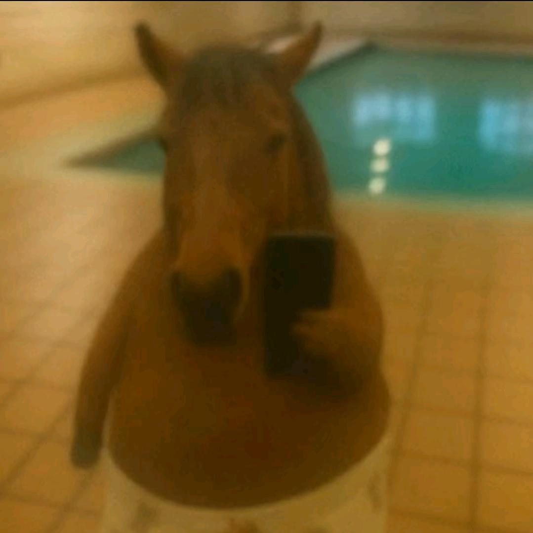 鸡蛋里并没有放葱