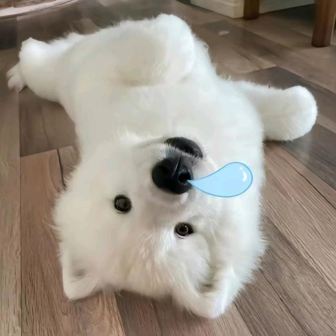 歔