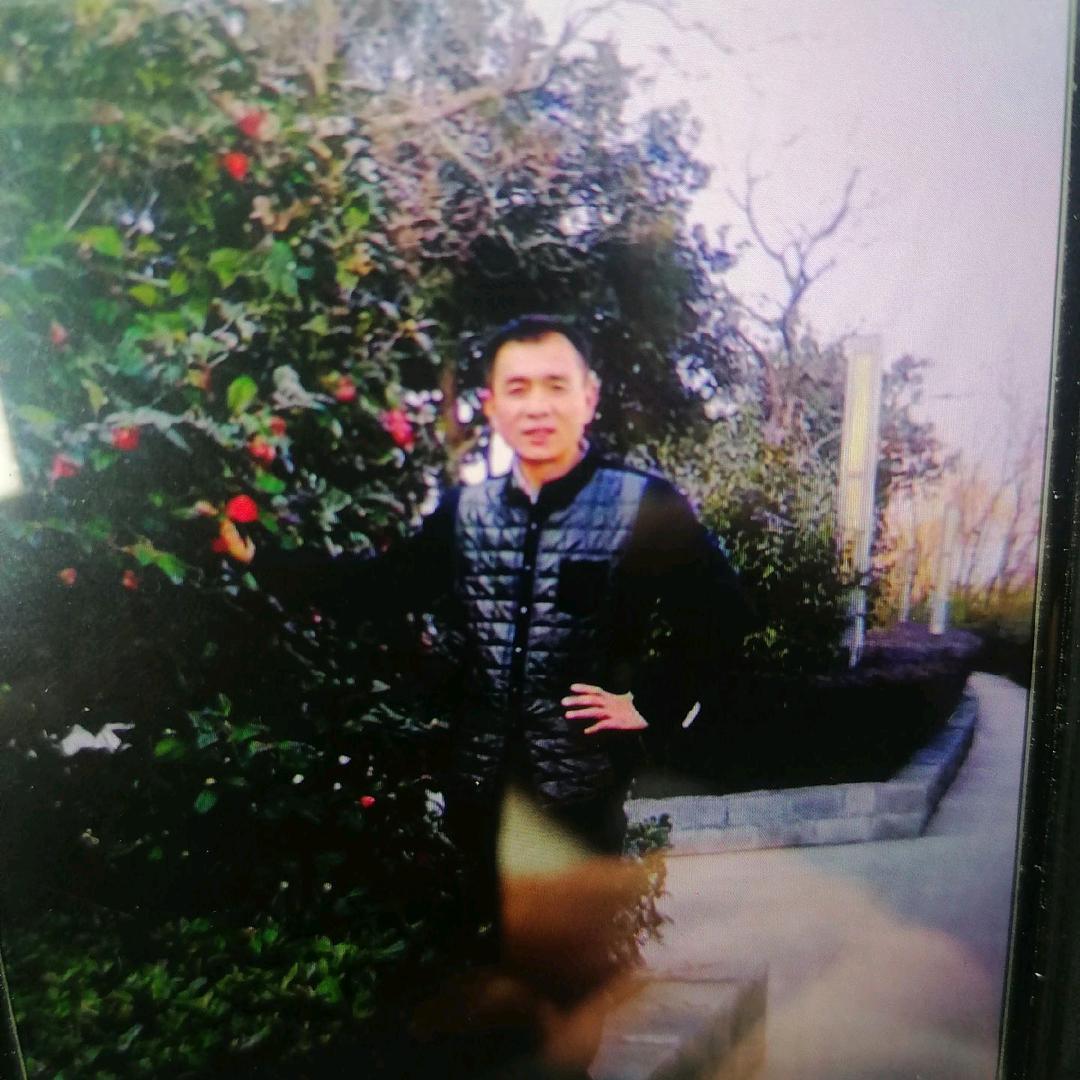 文静y19856823848
