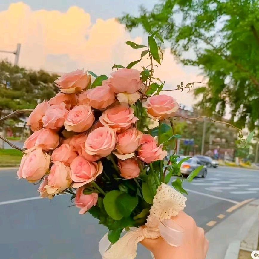 桃花源记（斗南鲜花代购）