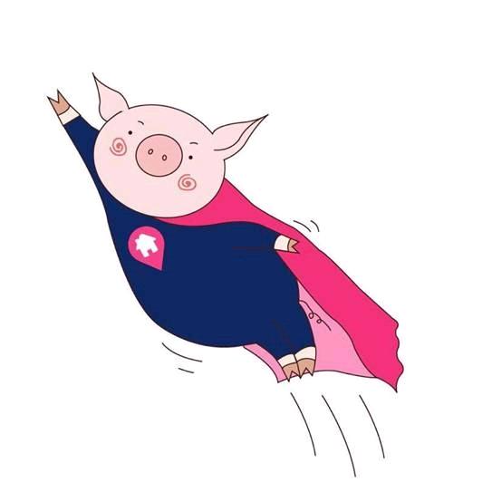 猪多多养猪服务