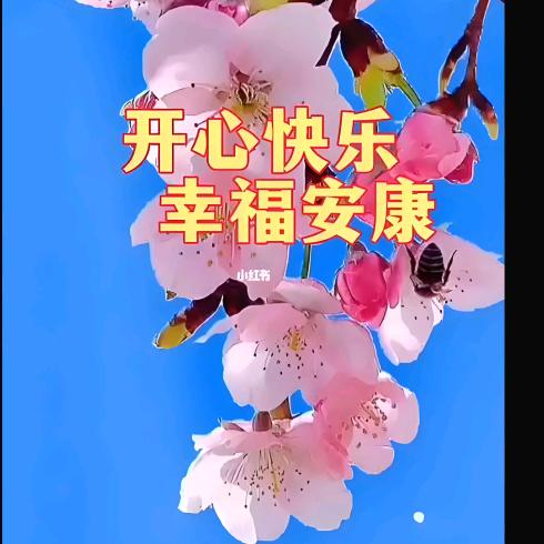 幸福安康头像