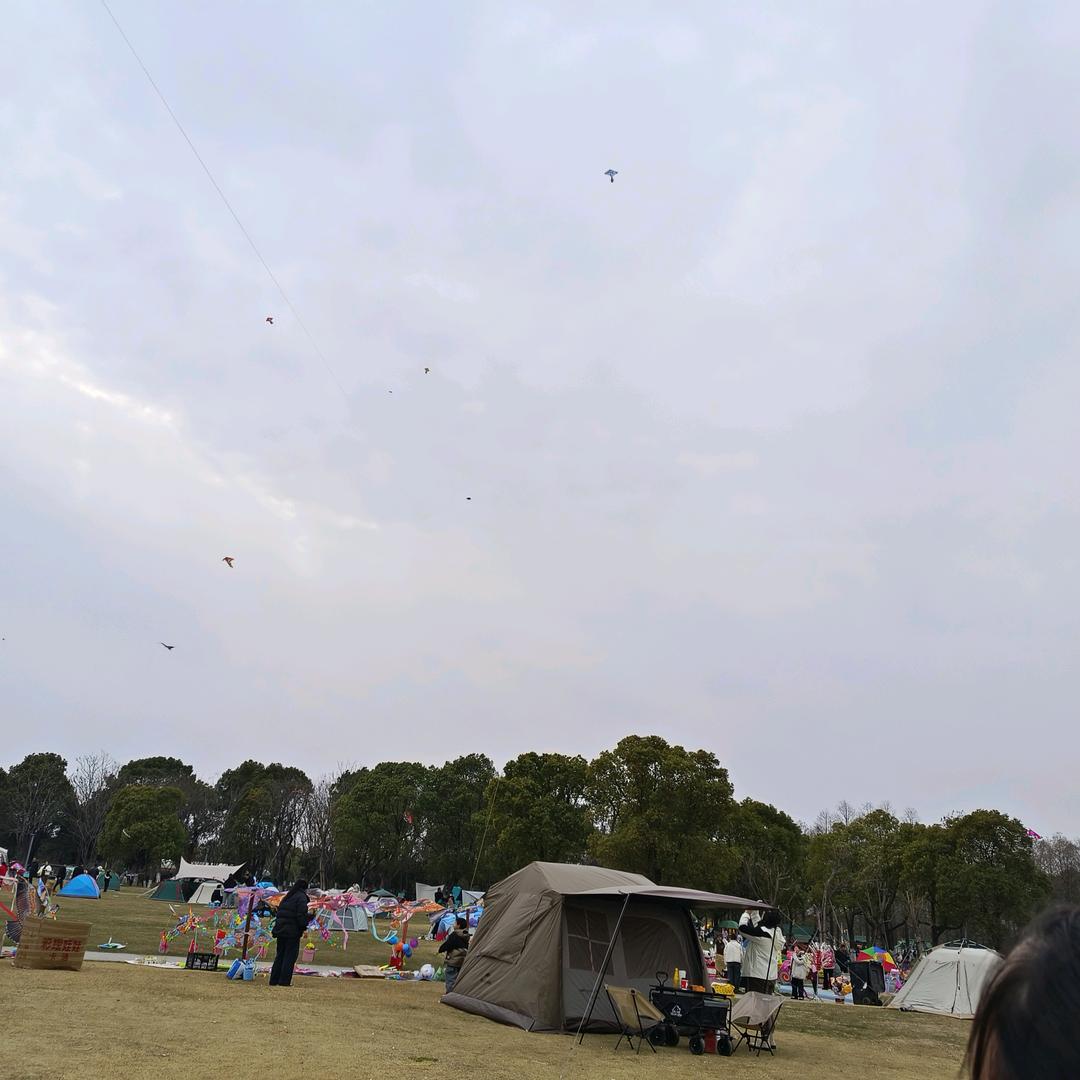 杨晓杨
