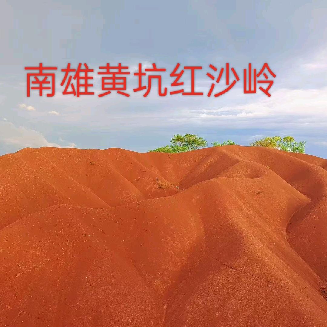 南雄特产私
