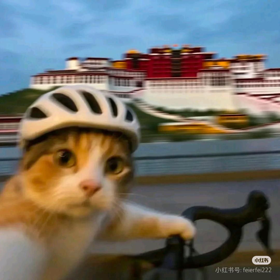 Zzz五十度