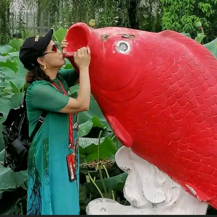 芳阿姨