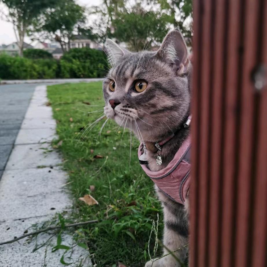 脚滑（三角洲行动）