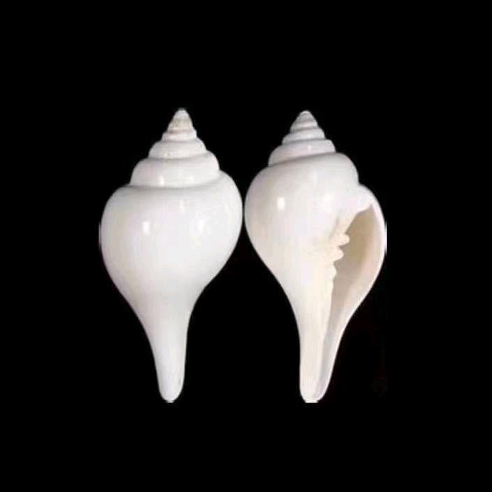 科巴