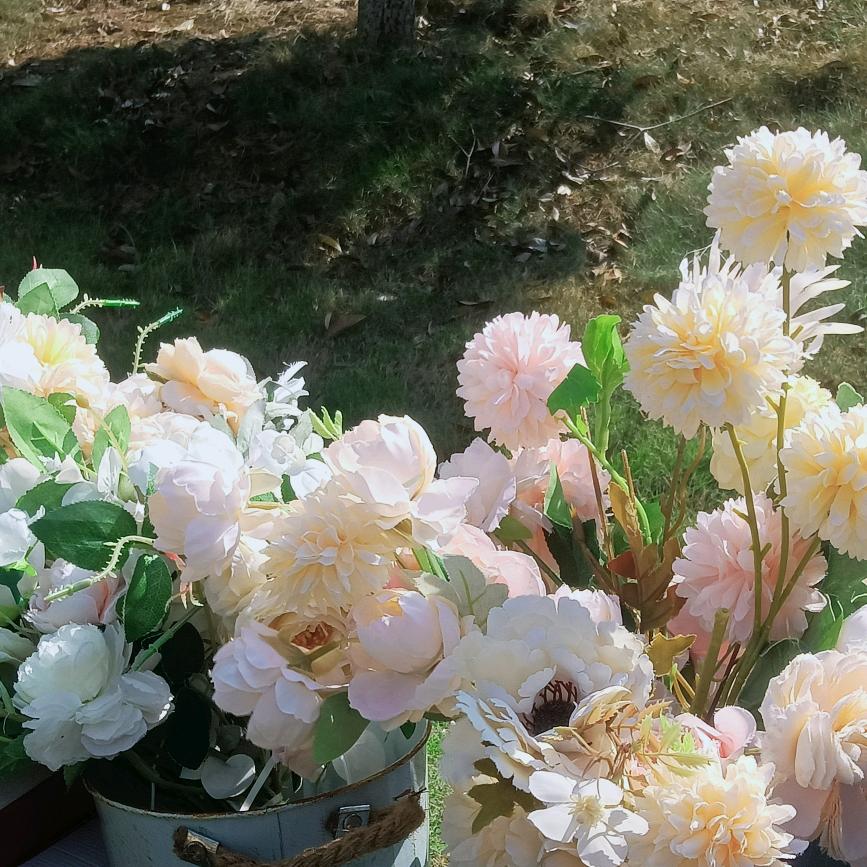 无忧无虑的生活🌷🌷