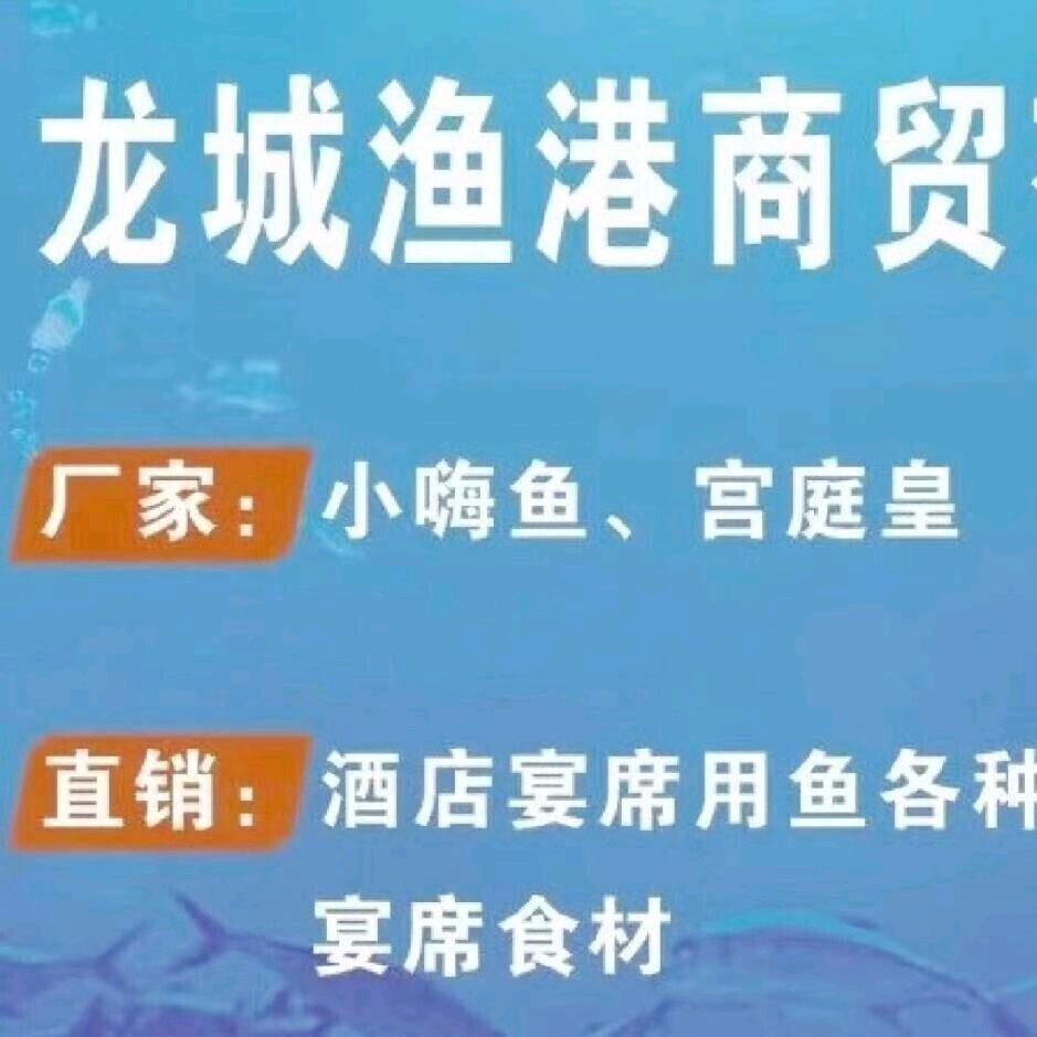 郑州小嗨鱼龙城渔港有限公司（中转仓）