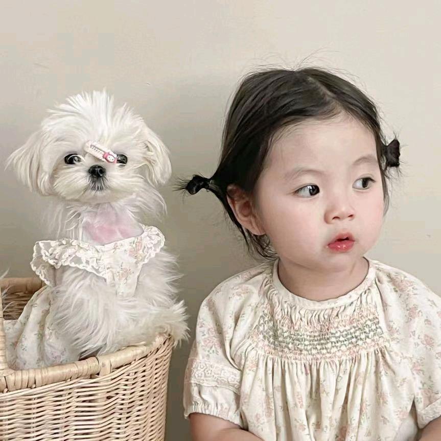 .怡怡子.
