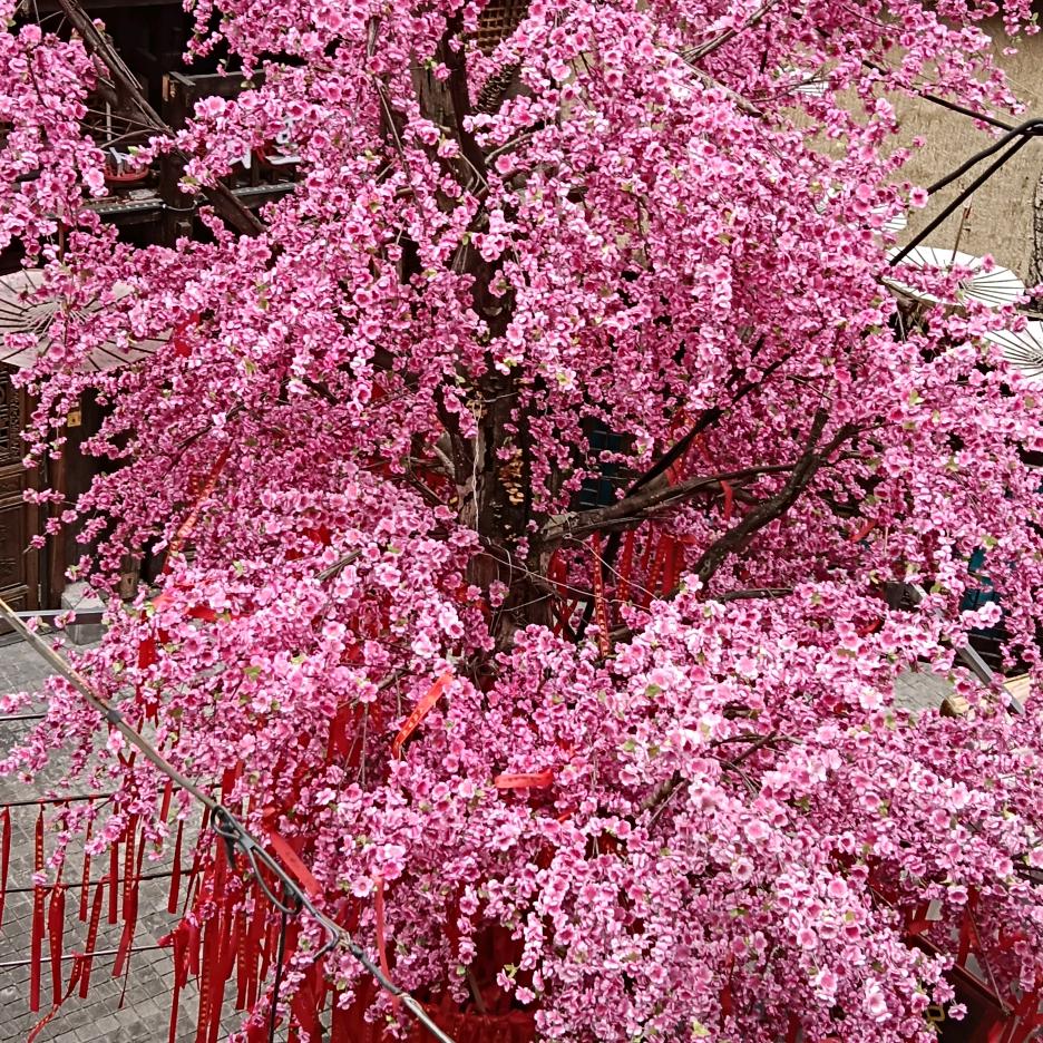 静心