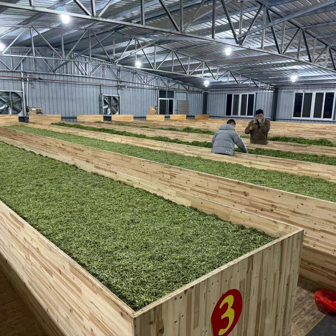御芽泉千禄茶叶厂