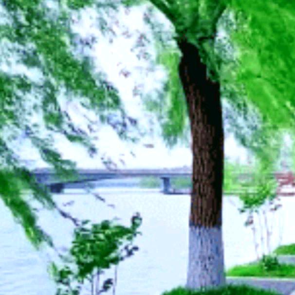 好运来开心果厂