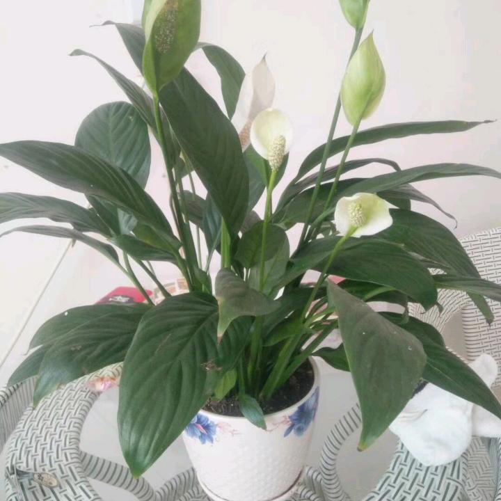 ༄秋叶ᐝ🌿㞮孞💖⃟⸜໊ഒᩚ࿐