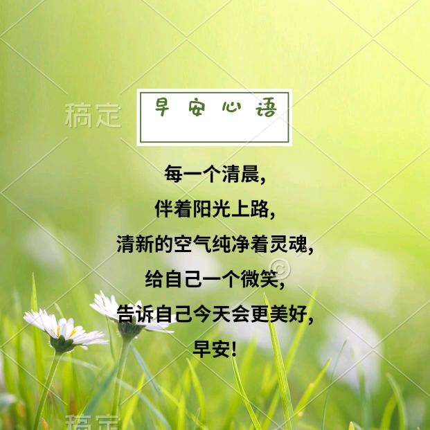 小小薇AI动漫视频