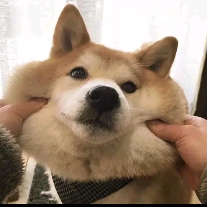 哦豁