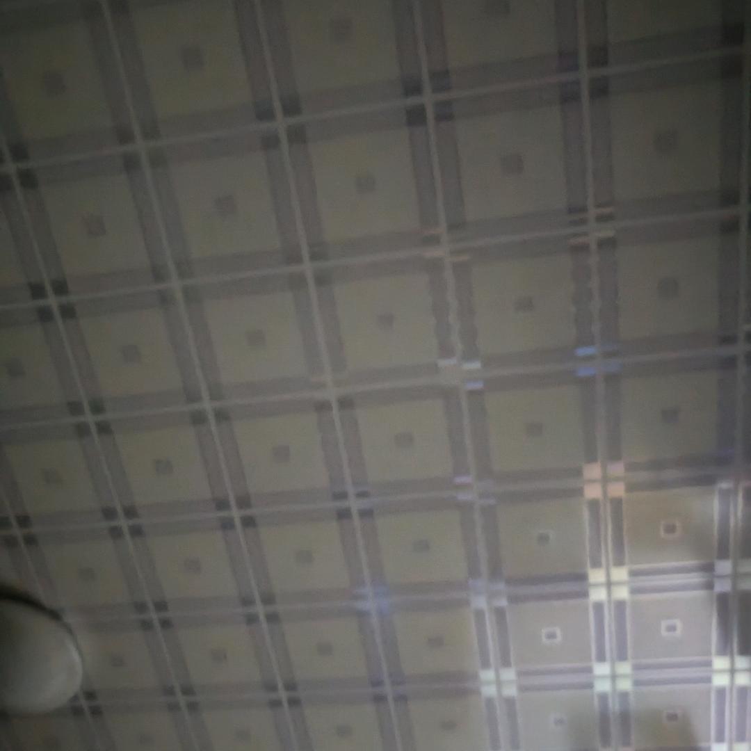 阳光