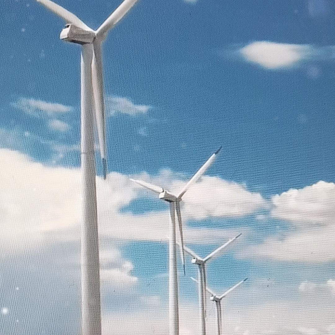 程哥
