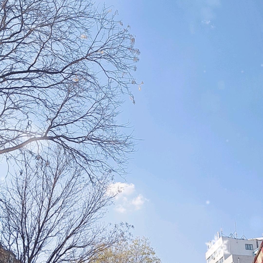 爱玩游戏-狼🐺