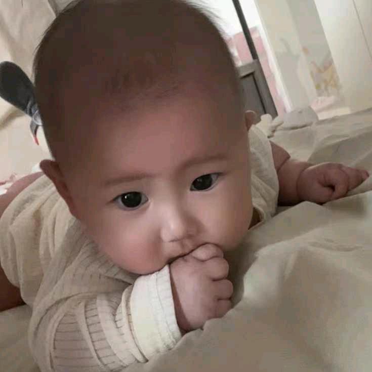 清风吹明月