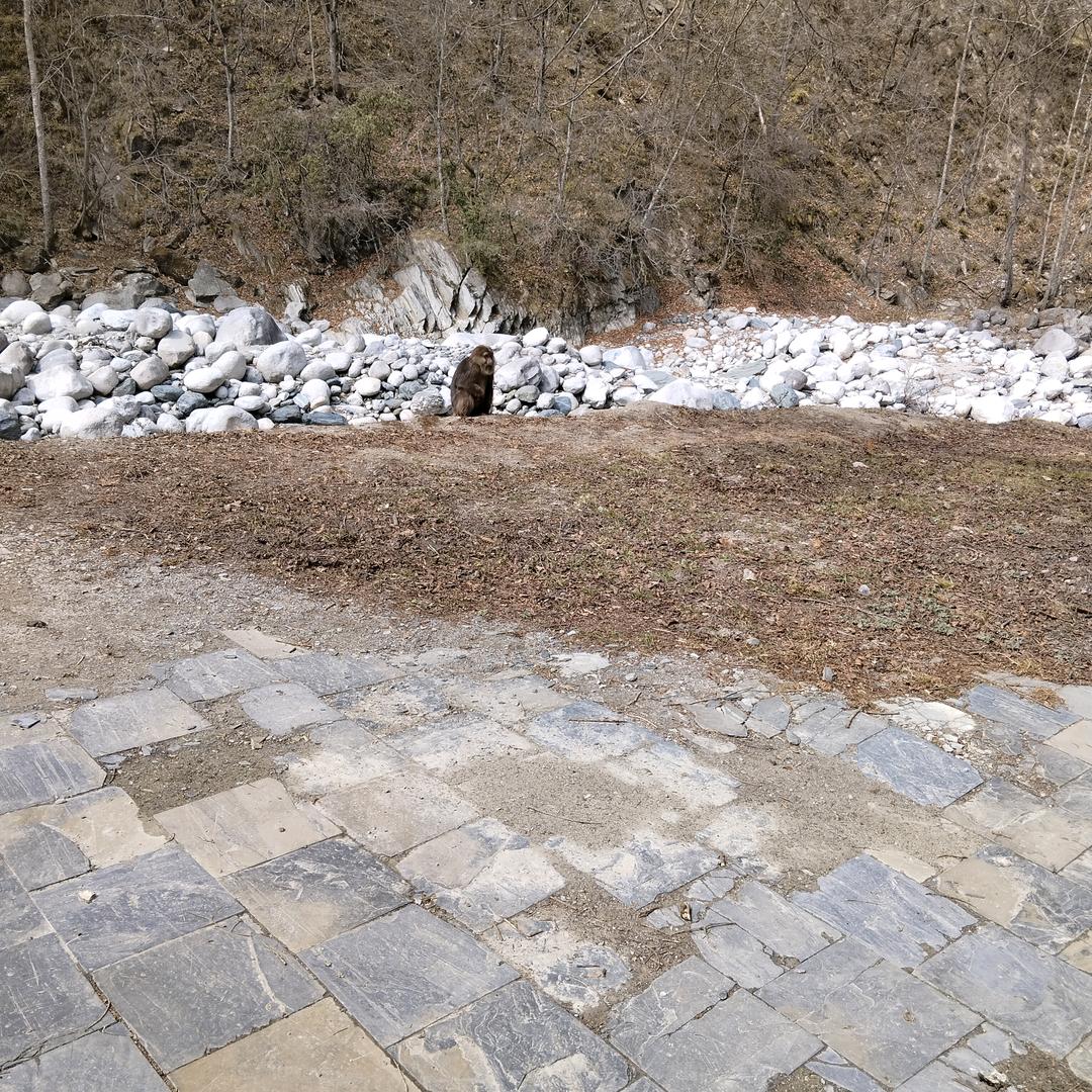 小杰