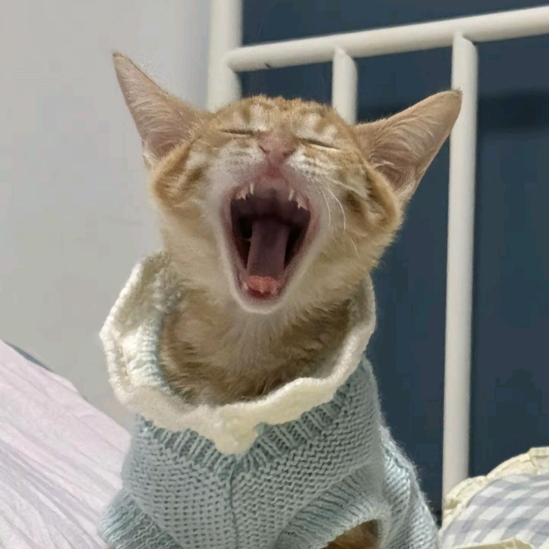 哈欠打不停