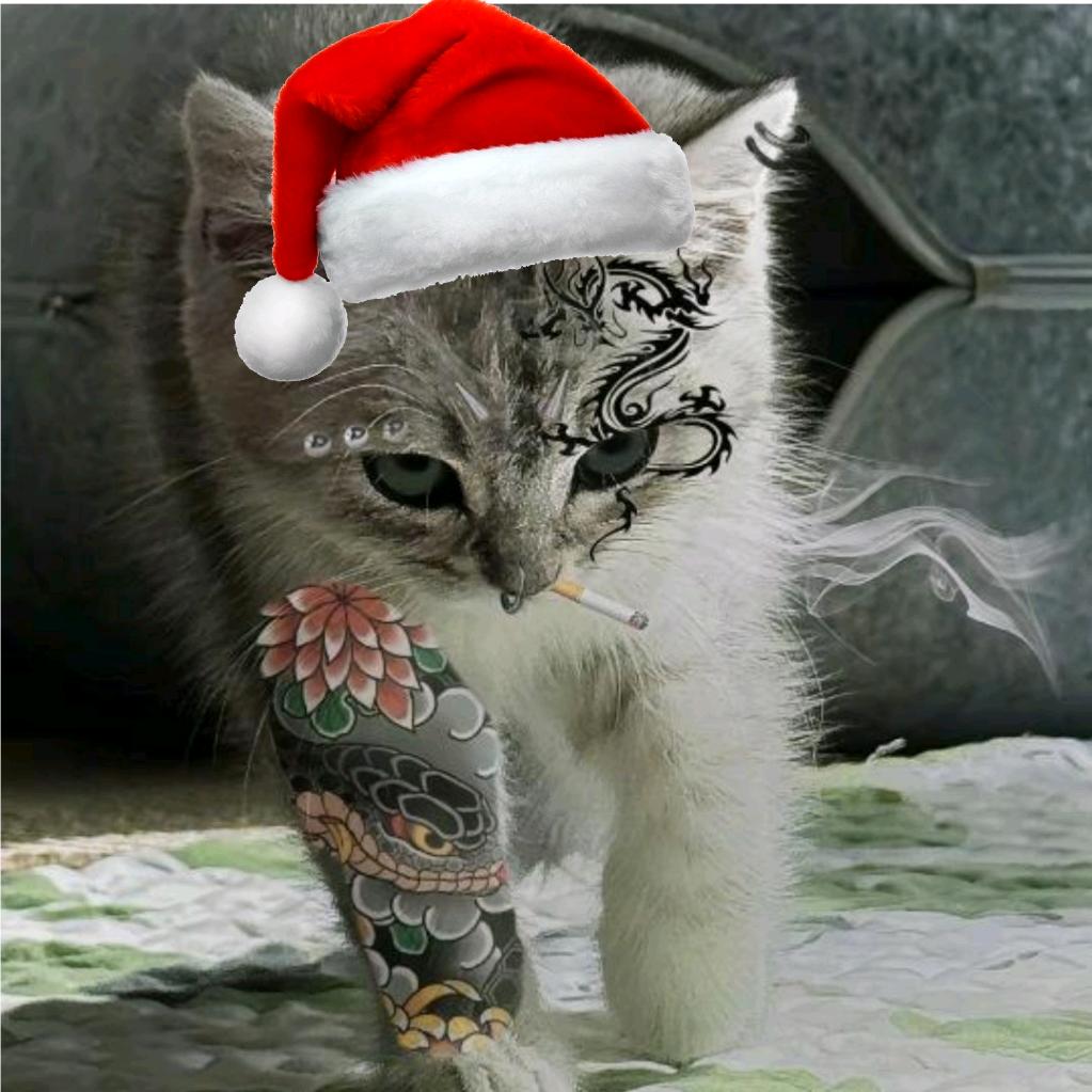 AAA铜锣湾猫条批发陈哥