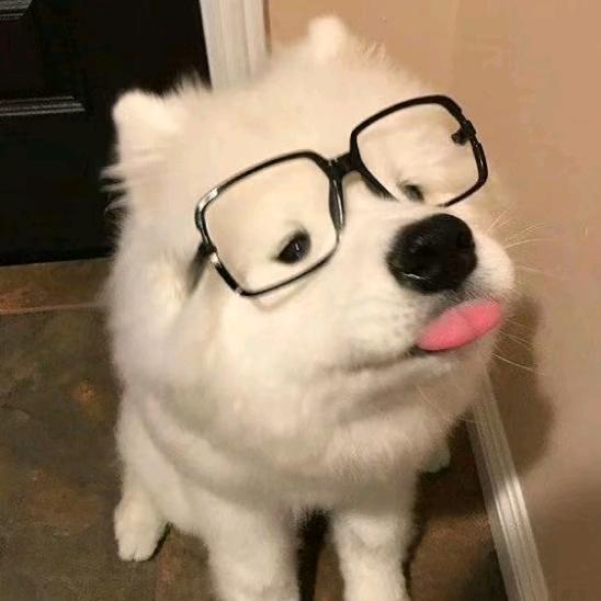 小小乐下士