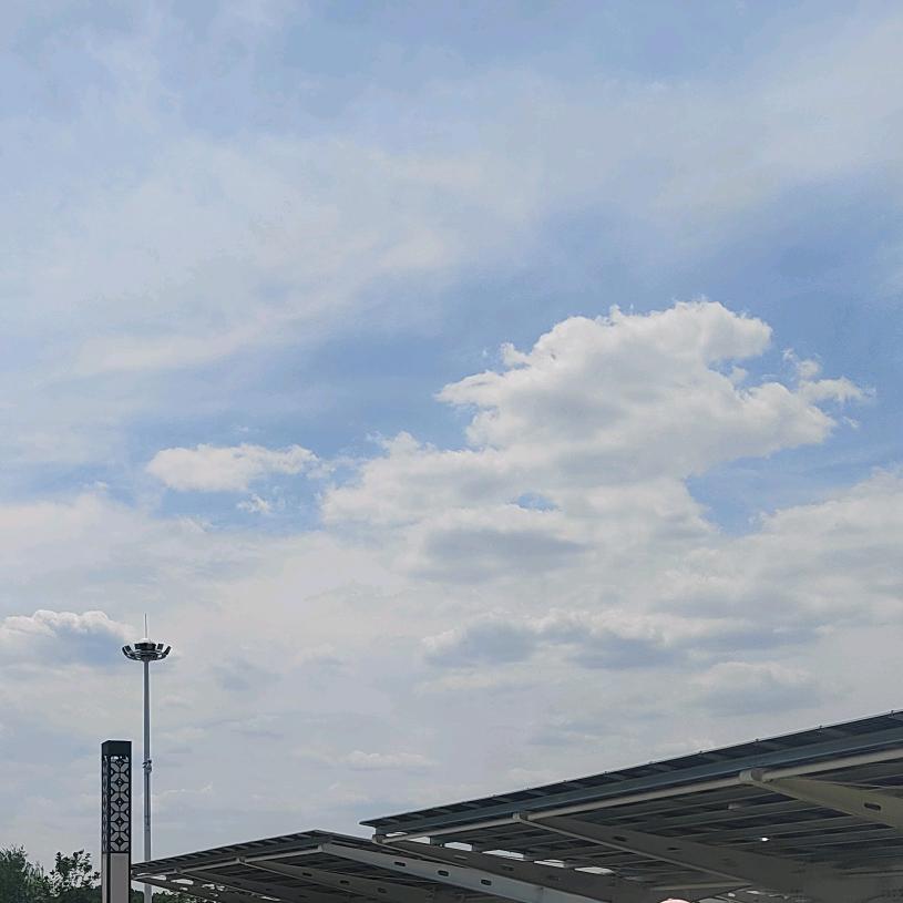 开心的向日葵🌻