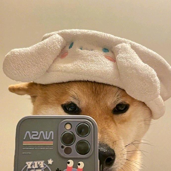 酒笙倾凉