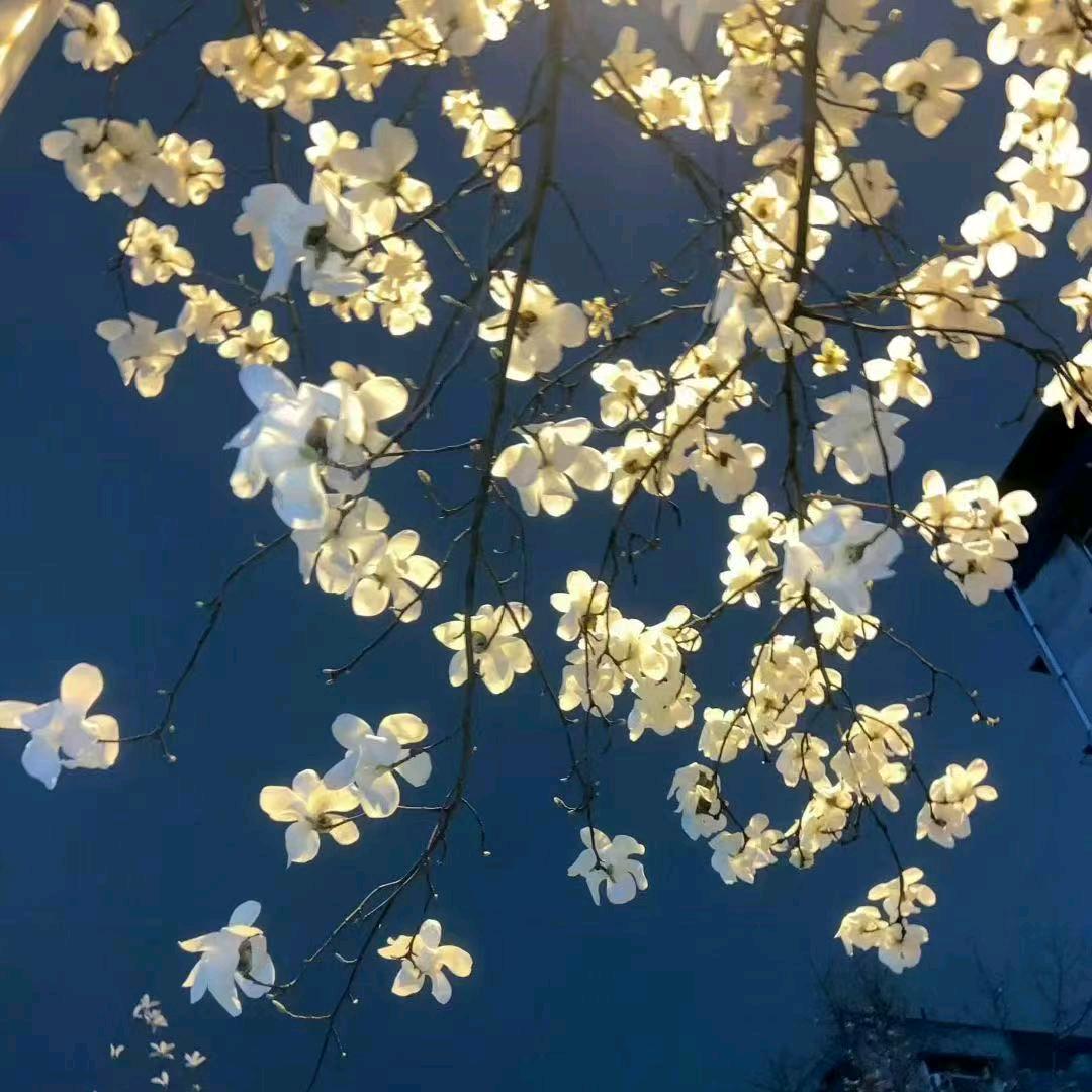 小欢喜🍀