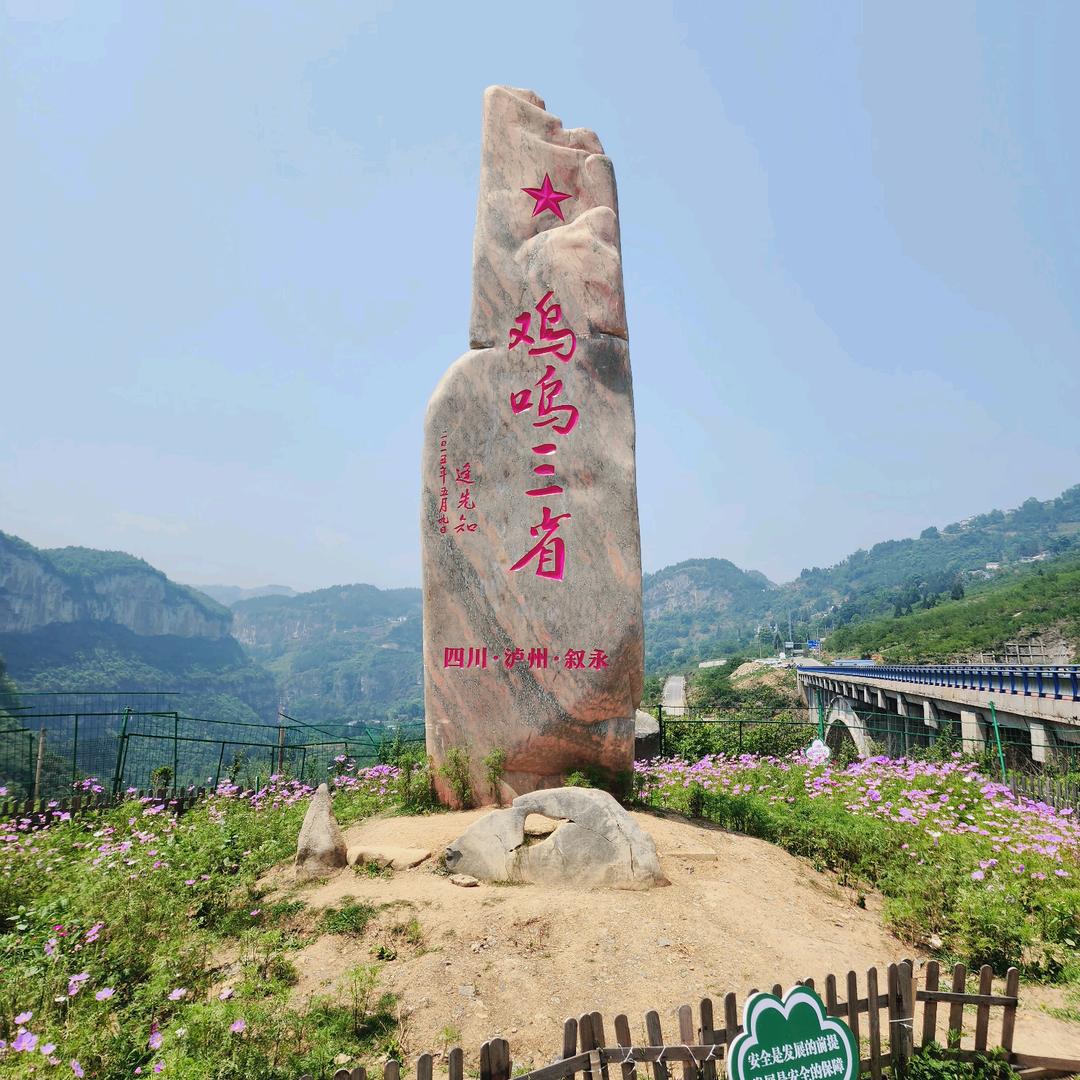 杨-仔-2