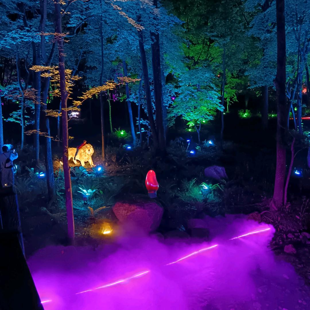 დ᭄ꦿ余生℘安好დ᭄