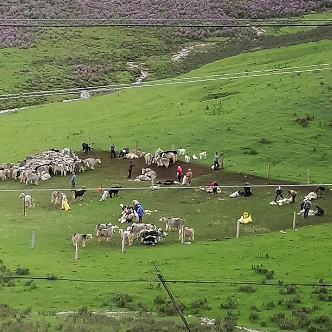 ！永卟言败  ！